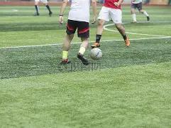 体育界巨星,职业地位排,深度解析成,熊猫体育平台,熊猫体育官方网站,熊猫体育登录入口,熊猫体育app下载