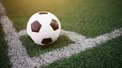 熊猫体育 产品 113150 zff