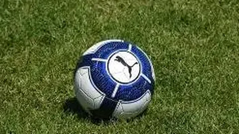 熊猫体育 产品 113201 cme