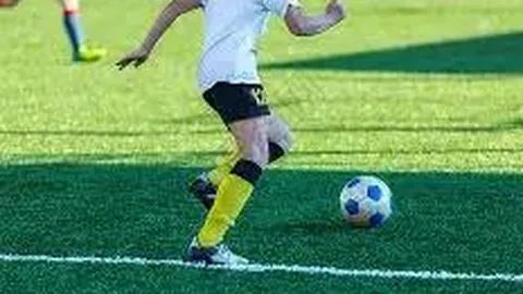 熊猫体育 产品 112242 gxe