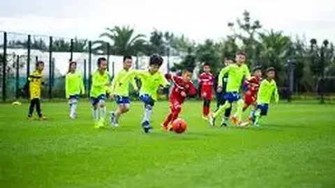 熊猫体育 资讯 112518 ulx