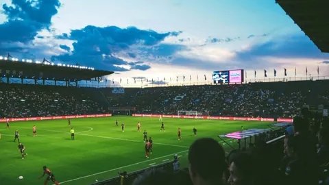 熊猫体育 产品 093925 14d